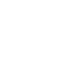 Tesla key